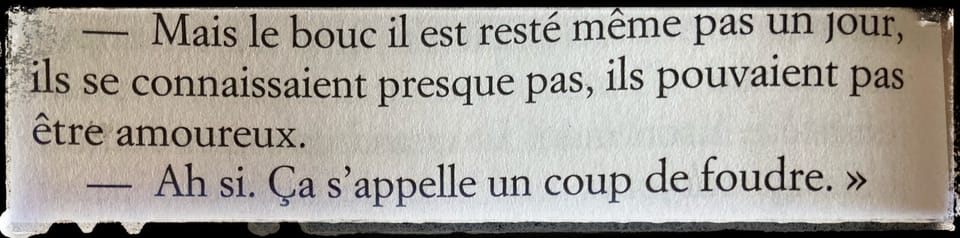 « Toute ma vie, j’ai rêvé, d’être une hôtesse de l’air… »